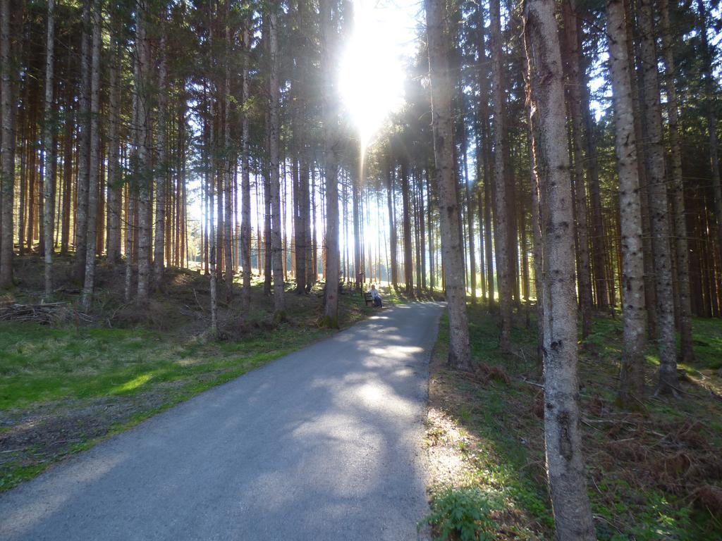 Inn Dorfschenke 3*